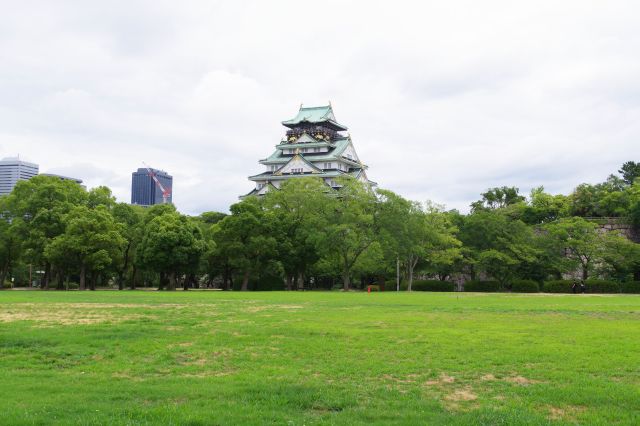 芝生の広場から天守閣が良く見えます。