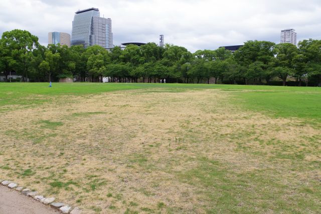 広々とした西の丸庭園。