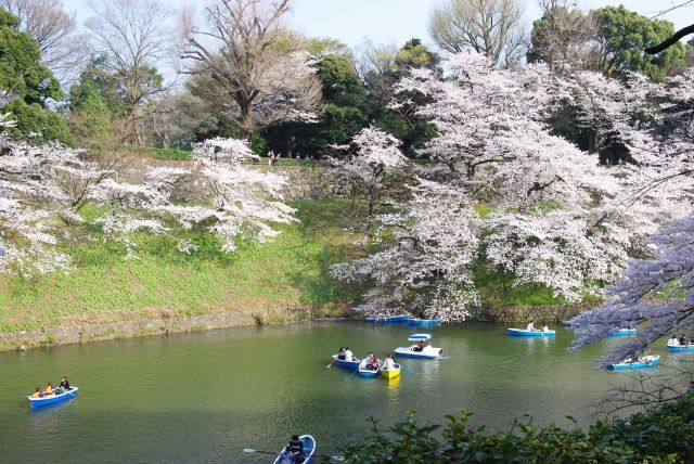 対岸の北の丸公園側には江戸城の遺構の石垣が。