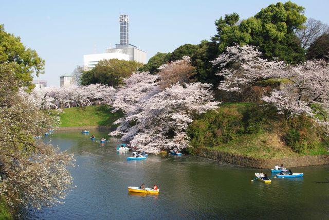 北の丸公園の角。