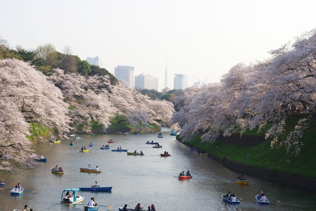 濠が直角に曲がる所は良い眺め。東京タワーも顔を出す。