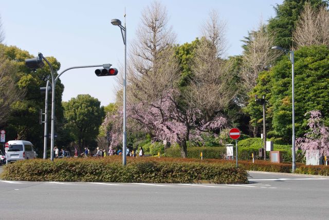 乾門前の交差点。正面は北の丸公園。