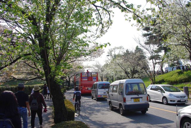 渋滞する道路の両脇には様々な種類の木で鮮やか。