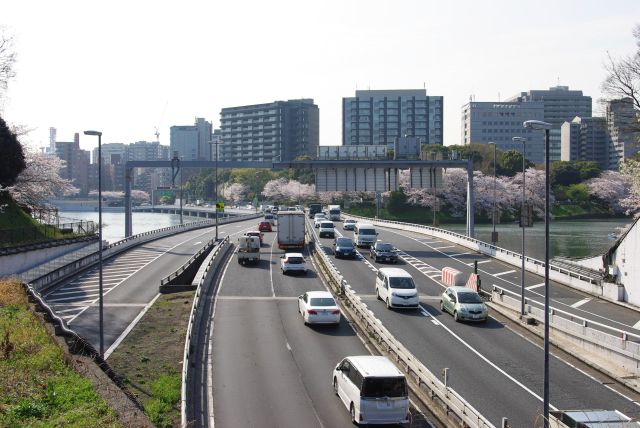 高速道路の先に千鳥ヶ淵の桜がひしめく。