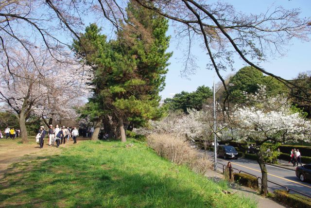 土手の終点で歩道へ降ります。