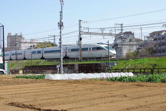 歩道と並行して小田急線が走ります。