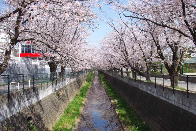 山口橋より。