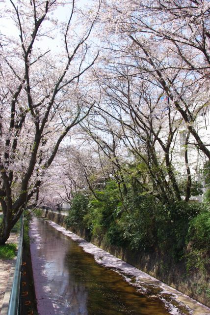 大分進んできました。