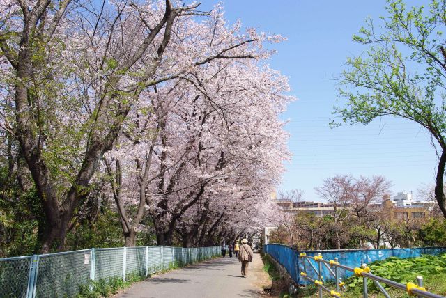 もうすぐ終点。