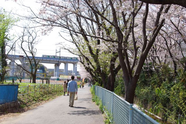 小田急多摩線からも離れてきた。