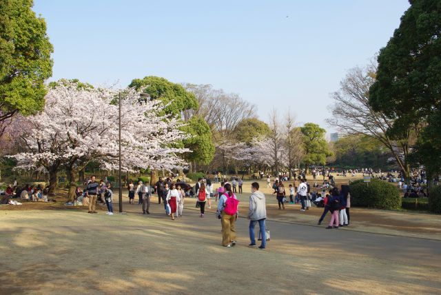 芝生の広場へ。沢山の人の姿が。