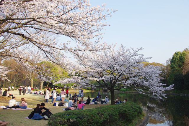 心地よい憩いの場。