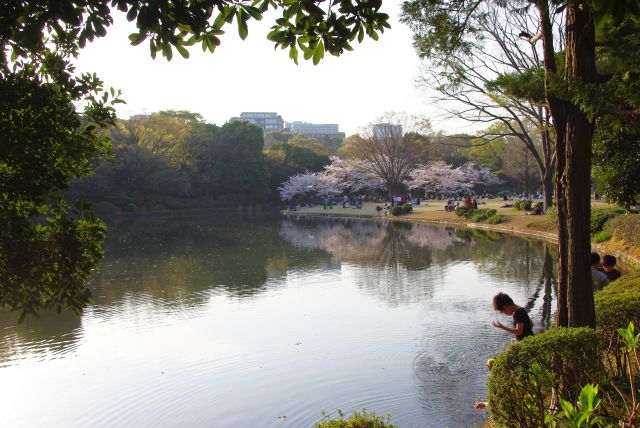 池の南側より。