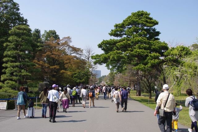 桜以外も自然豊かで心地よい。順路は一方通行、前に進むように促されます。