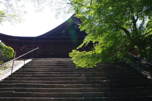 階段の上に国宝の金堂。