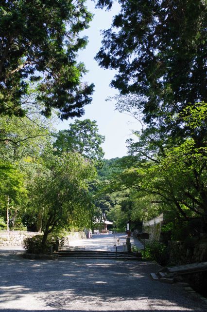 右に曲がると村雲橋。