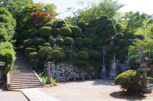 階段からさらに上の展望台に登れます。