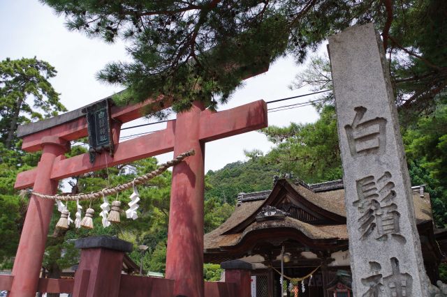 白髭神社の写真ページへ