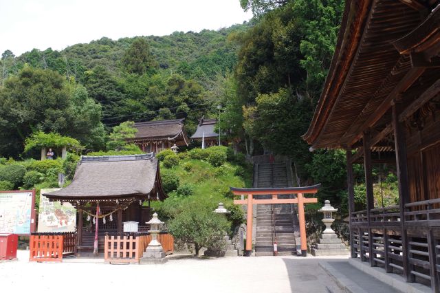 山側には摂末社。下には若宮神社。