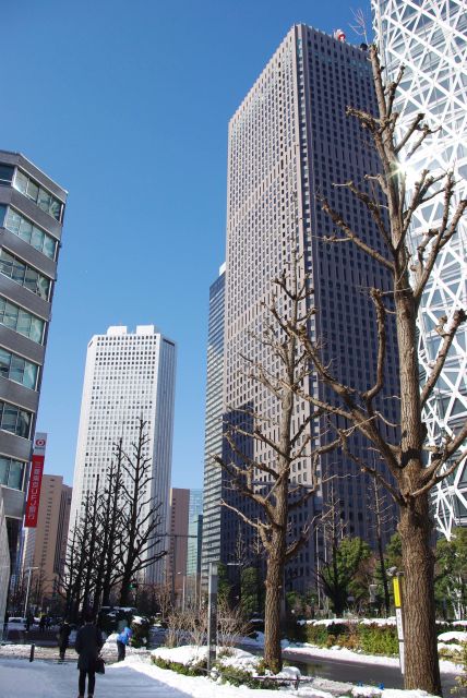 中央の通りへ。こちらの歩道は雪が残り踏み固められる。