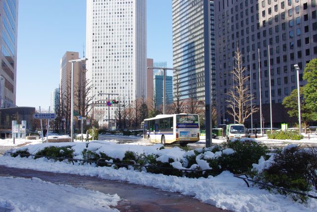 最低限除雪された歩道を歩きます。