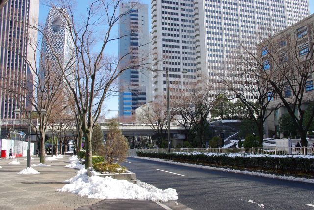 都庁に近づくと歩道も雪が少ない。