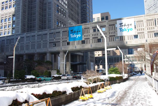 都庁前の通りは水浸し…。特に横断歩道は水はけが悪い。