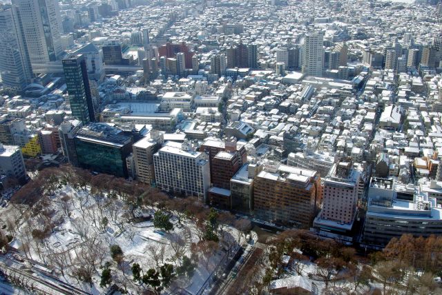 公園も雪が積もる。