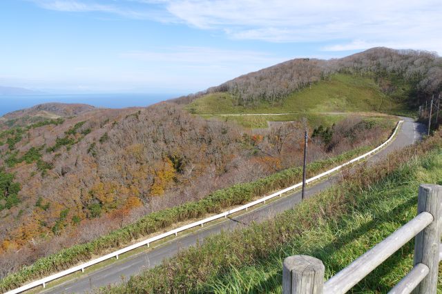 進んできた道路。