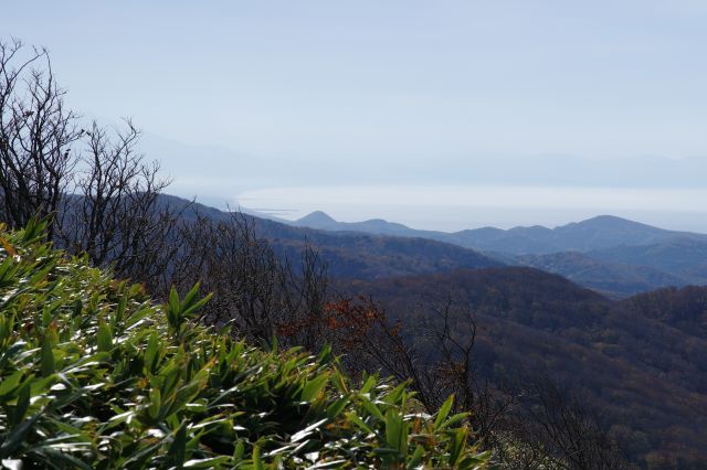 遠くにつがる市のカーブする西岸と岩木山の稜線も。