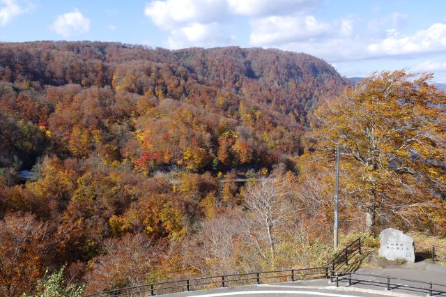 左側の山は一面に良く色づいています。