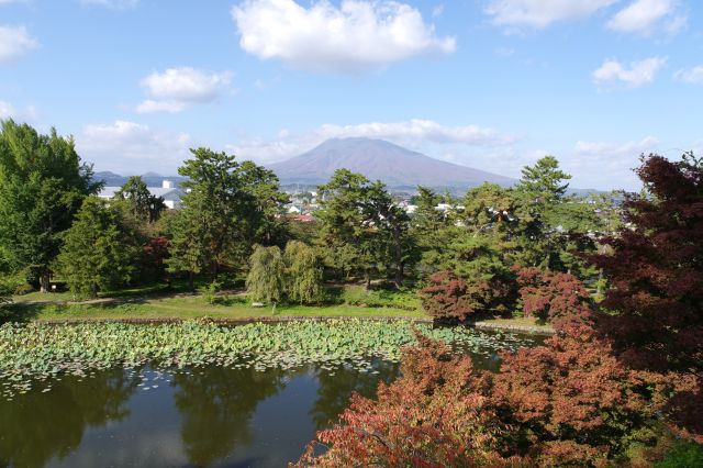 西側は蓮池の先に岩木山。