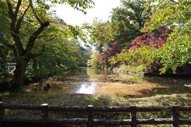 東口発券所から出て二の丸北側へ。濠や木々が美しい。