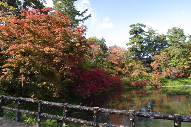 中濠の北の郭側は緑や紅葉が美しい。