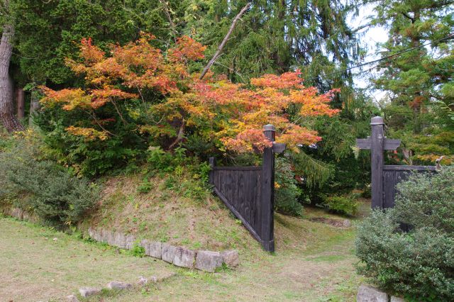 脇にきれいな紅葉。