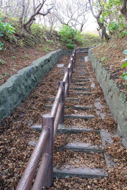 振り返ると急な階段。