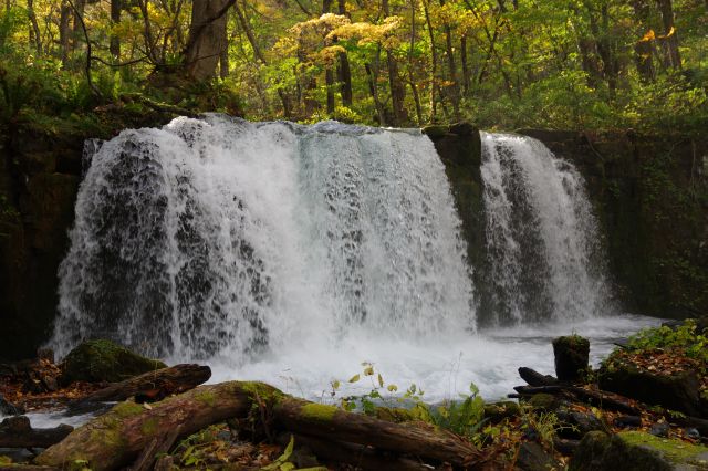 滝の前へ。水しぶきを上げる美しい滝。