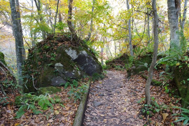 遊歩道に迫る大きな岩があったり、風景に起伏があります。