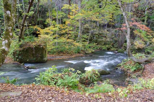 心地よい自然の中で飽きる事のない川沿いの情景。