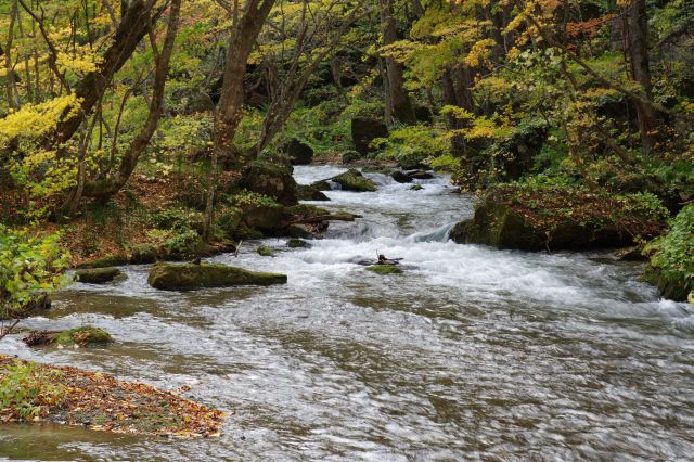 自然の中の美しい川の流れ。