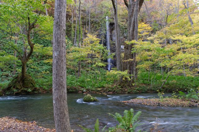 左側に白糸の滝。真っすぐな滝で見えやすい。