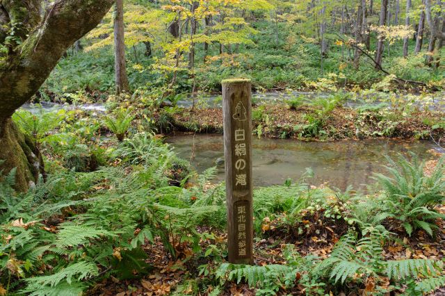 白絹の滝。直接は見えませんでした。