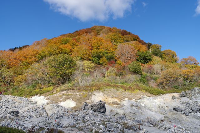 地獄の様相とは対照的に周囲の山の紅葉がきれい。