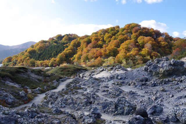 静かな荒々しい岩場を進んでいきます。