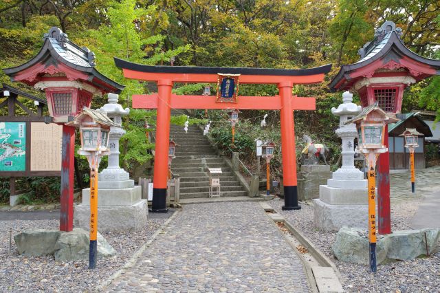 階段前の鳥居と灯篭。