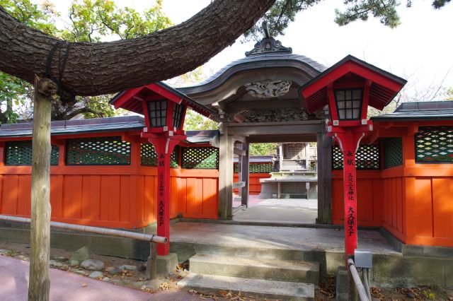 大きく曲がった木の幹をくぐると三王神社。