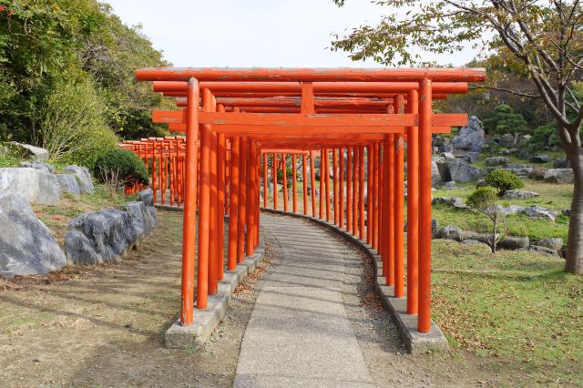 ここから千本鳥居が始まります。