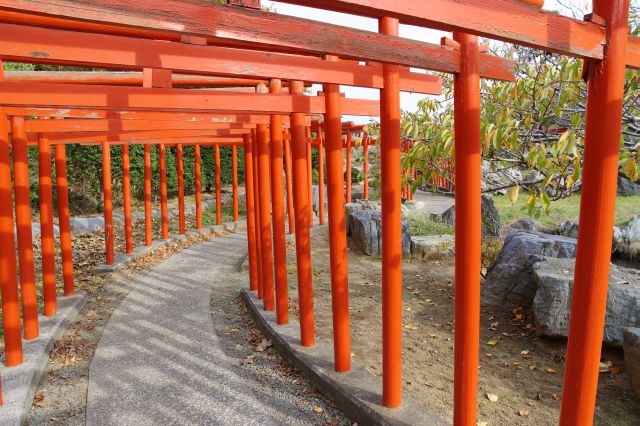 低めの鳥居でかがまないと歩きづらい。