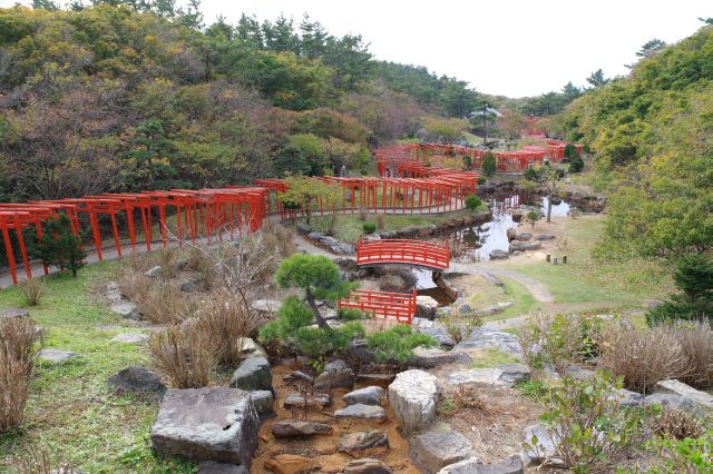 鳥居の並ぶ絶景をしばらく眺めます。