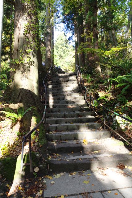 階段を登ります。